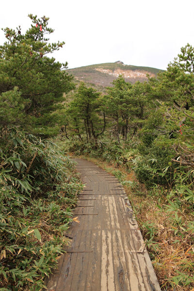 20171102adatarayama-011.jpg