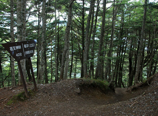 20140803hououhigaeri-008.jpg