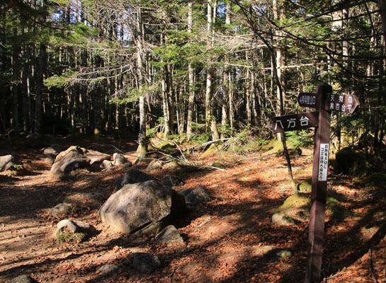 20151024tengu-017.jpg