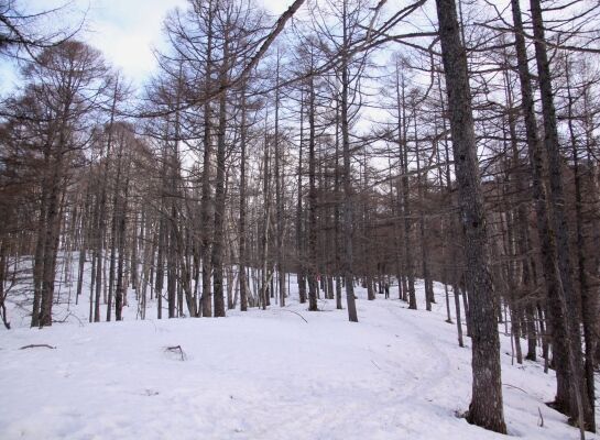 20140329tateshinayama-004.jpg