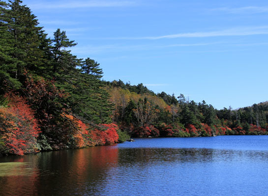 20161007mugikusatouge-009.jpg