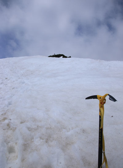 20150425karmatudake-021.jpg