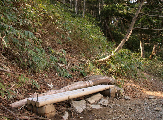 20160429chogatake-016.jpg