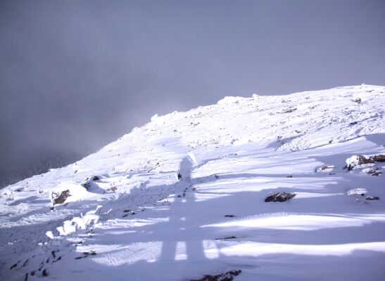 20131221yatugatake-115.jpg