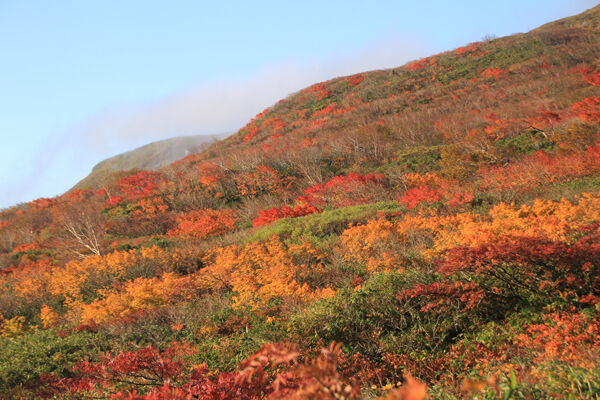 20171012yakeishidake-008.jpg