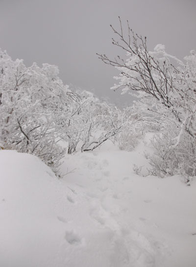 20161210azumayasan-022.jpg
