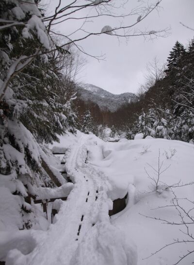20140111yatugatake-006