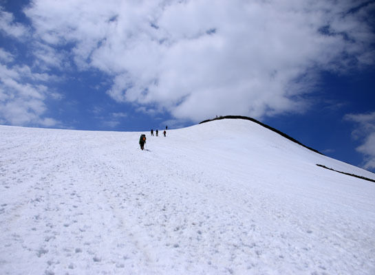 20150425karmatudake-027.jpg