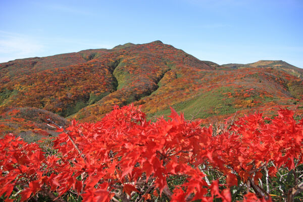 20171012yakeishidake-027.jpg