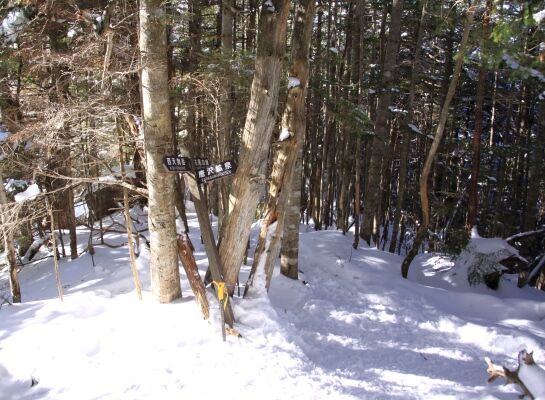 20140103tengu-028.jpg