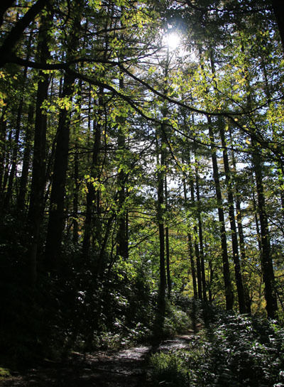 20151008kisokoma-012.jpg