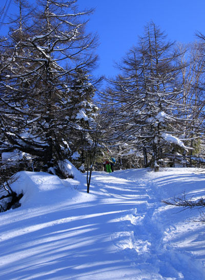20150124kitayokodake-008.jpg