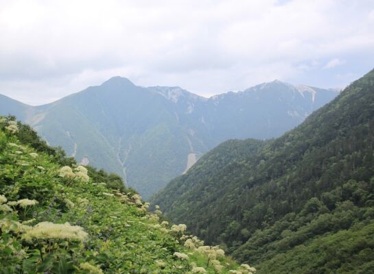 20130824shiraneoike-012.jpg