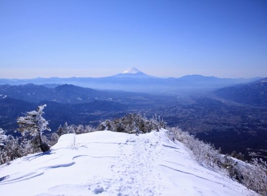 20140322mitugashira-026.jpg