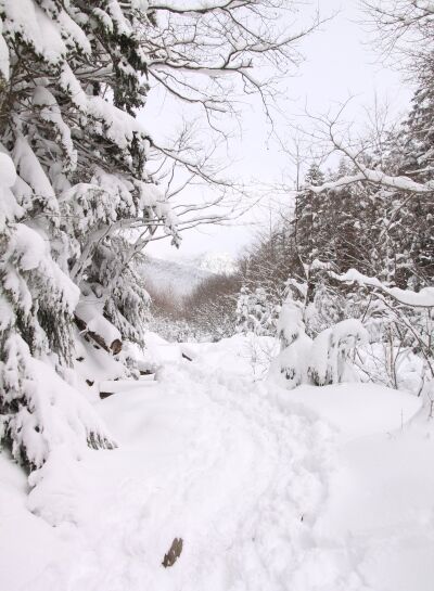 20131221yatugatake-006