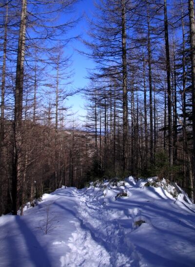 20140218tengu-133