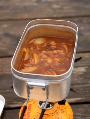 20121205beefstroganofu-008