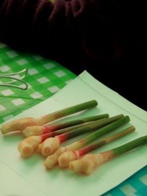 20130601beercamp-010