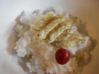 yari20070512-203.JPG