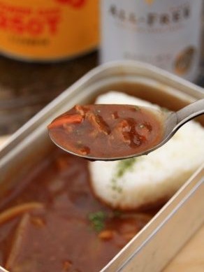 20121205beefstroganofu-009