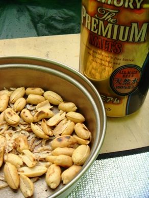 kaikoma20080503-006.JPG