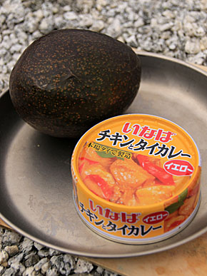 20140820abokadocurry-001
