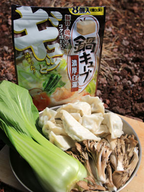 20150327gyozanabe-001