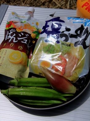 20120727jyurerasara-001