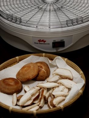 20140813hoshishiitake-003