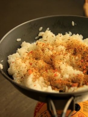 20121210saramidrycurry-003