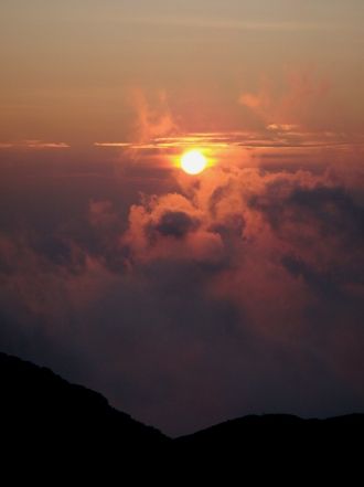 utuki20080730-009.JPG