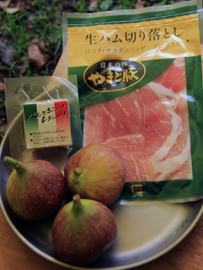 20161026ichijikunamaham-001