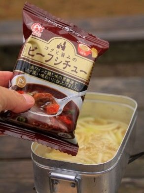 20121205beefstroganofu-005