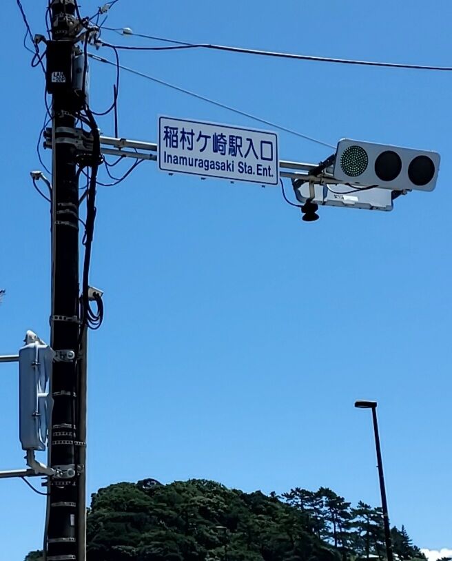 20220729_111559757