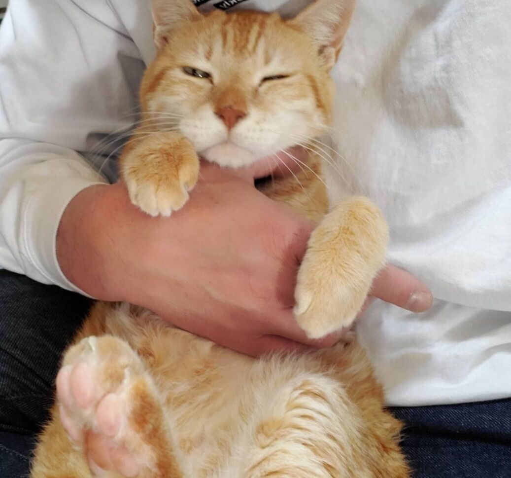 Screenshot_20231112-003948_LINE