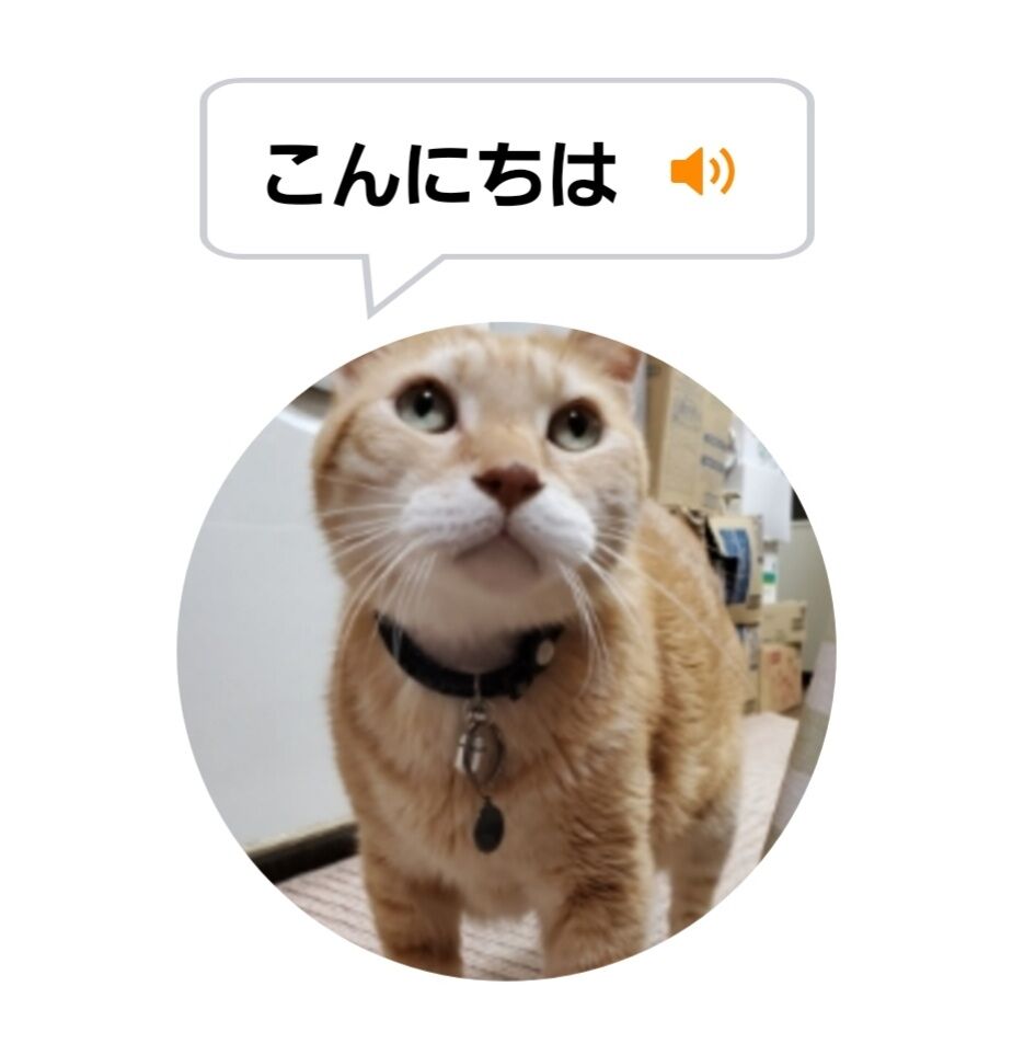 Screenshot_20220125-015815_MeowTalk