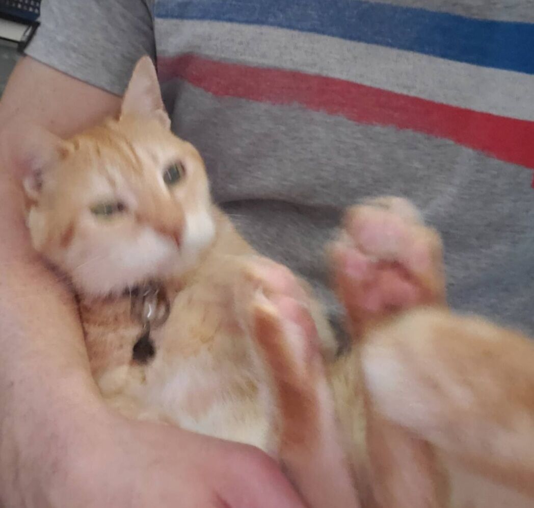 Screenshot_20250601-164918_LINE