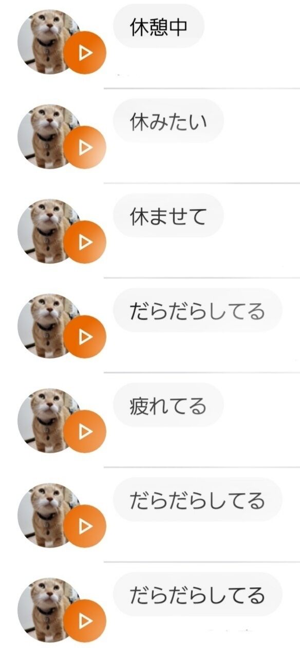 Screenshot_20220116-160443_MeowTalk
