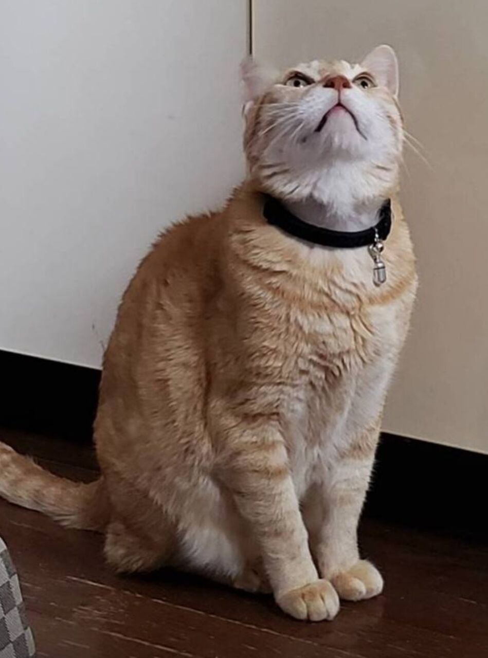 Screenshot_20250615-011952_LINE