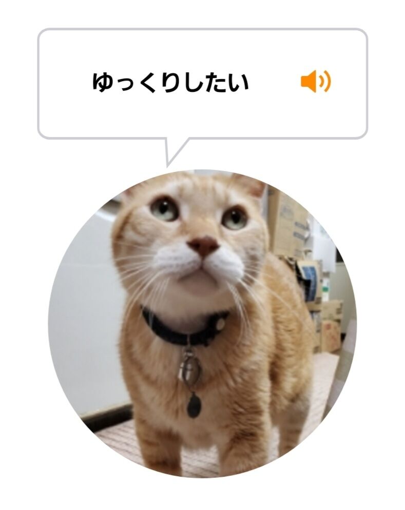 Screenshot_20220525-023025_MeowTalk
