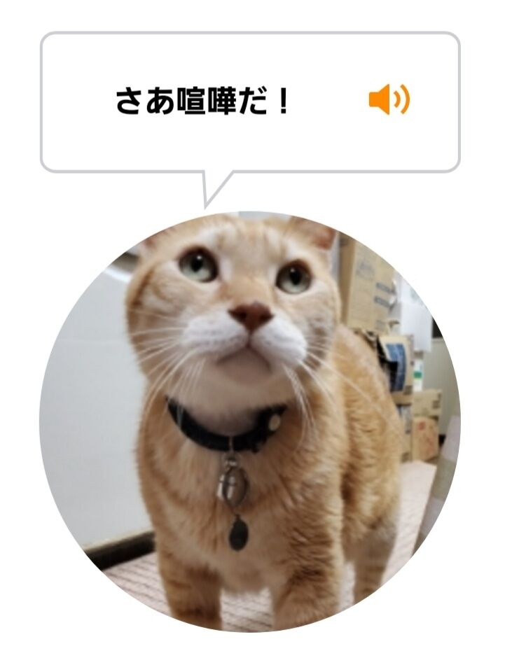 Screenshot_20220206-222558_MeowTalk