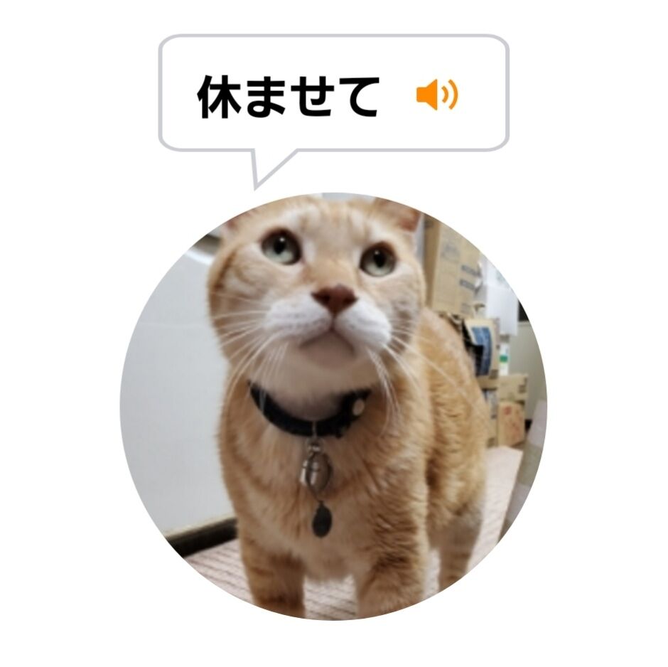 Screenshot_20220125-011326_MeowTalk