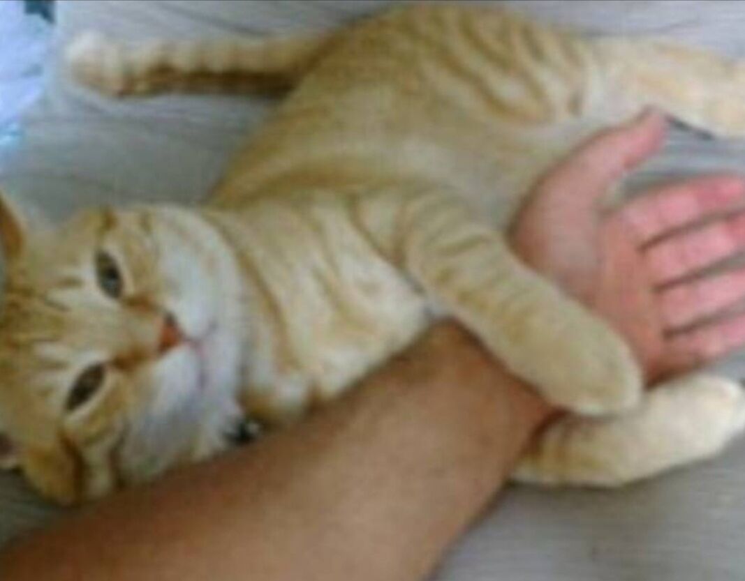 Screenshot_20250803-212823_LINE