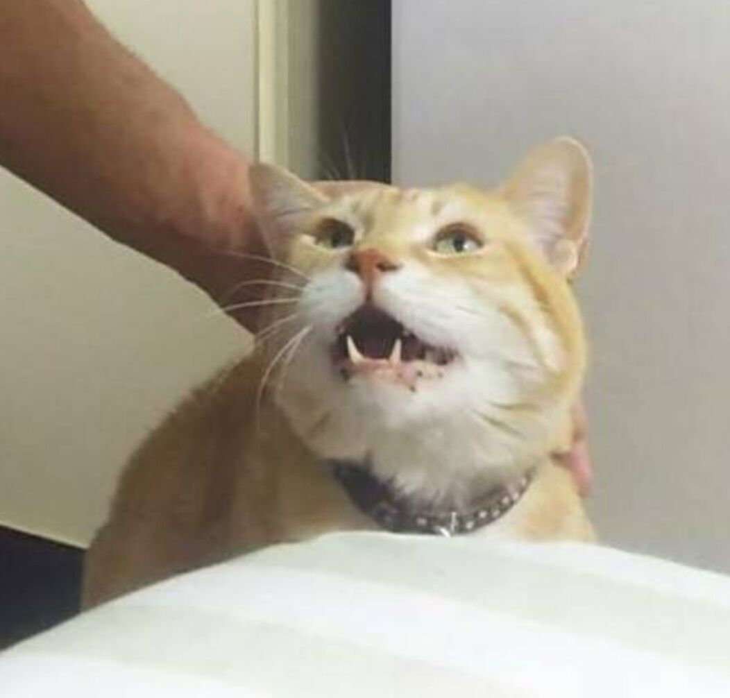 Screenshot_20230528-191719_LINE