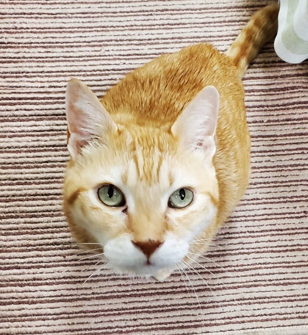 Screenshot_20231021-115222_LINE