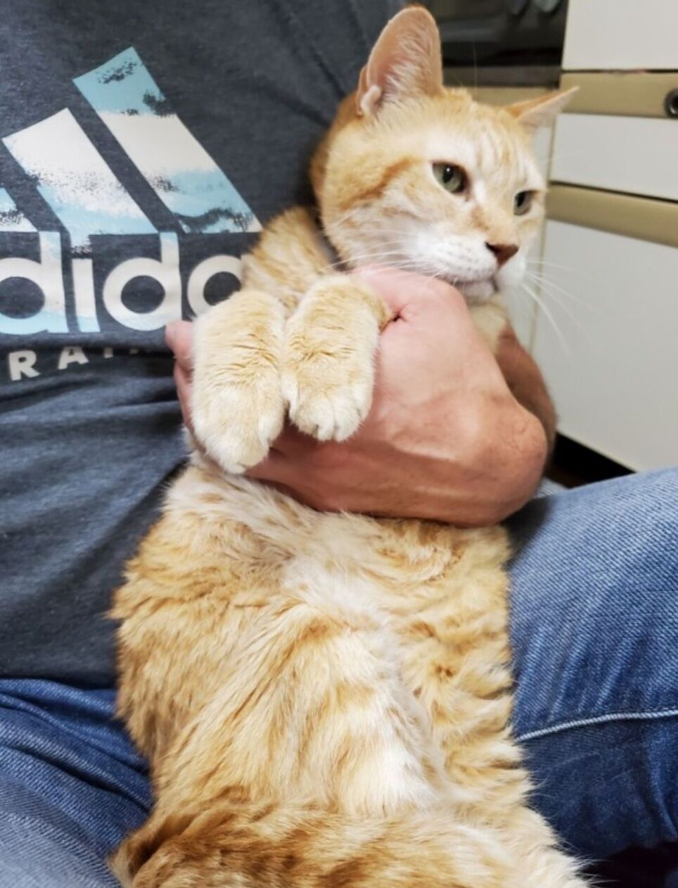 Screenshot_20250212-121604_Internet