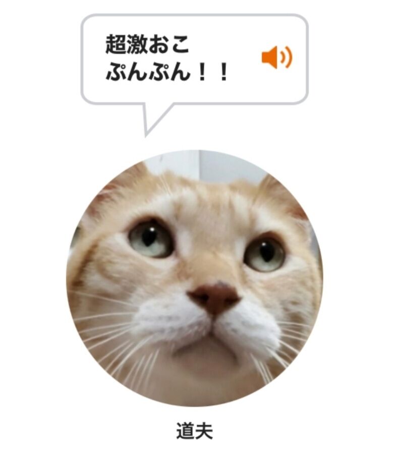 Screenshot_20220101-222941_LINE