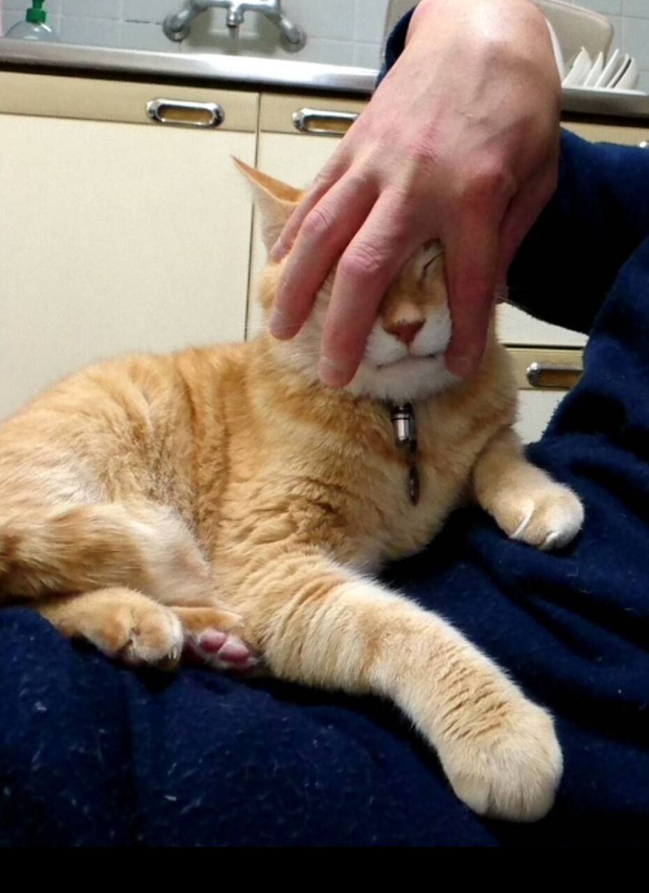 Screenshot_20231104-002148_LINE