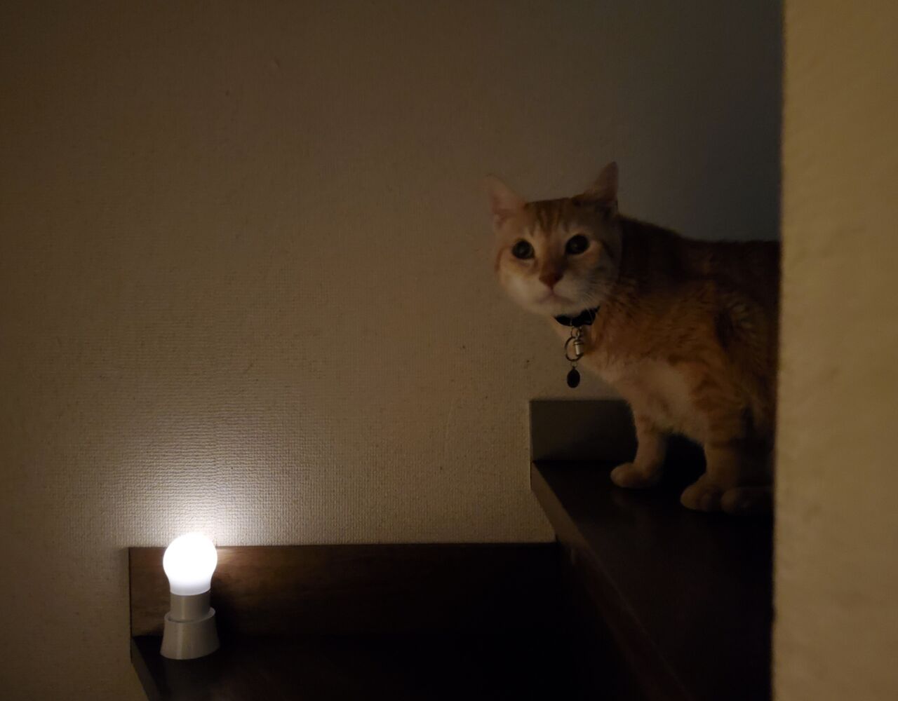 20211231_234449