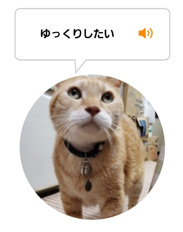 Screenshot_20220627-010413_MeowTalk